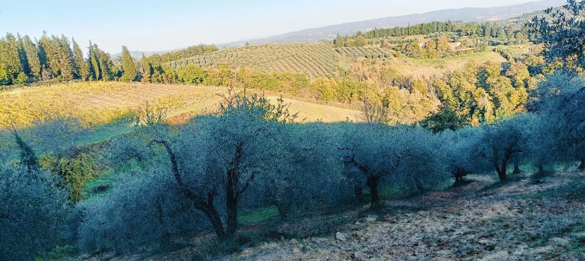 Casa Orneto Villa Poggibonsi Dış mekan fotoğraf