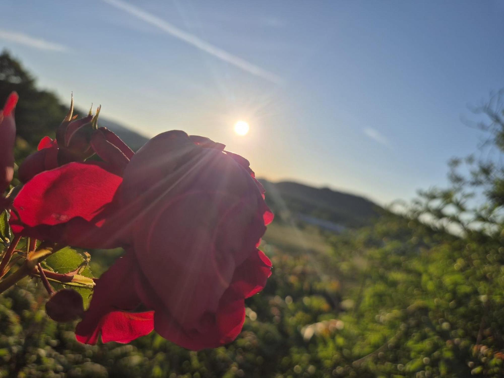 Casa Orneto Villa Poggibonsi Dış mekan fotoğraf